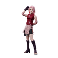 Blokees Naruto Champion Class 07 Sakura Haruno EAN 810181532852 Model kit snodabile Blokees 07 di Sakura Haruno da Naruto Shippuden. La figura ha capelli rosa brillante, occhi verdi e indossa la tunica rossa da ninja con pantaloncini neri. Codice modello Champion Class 07 SET 75618