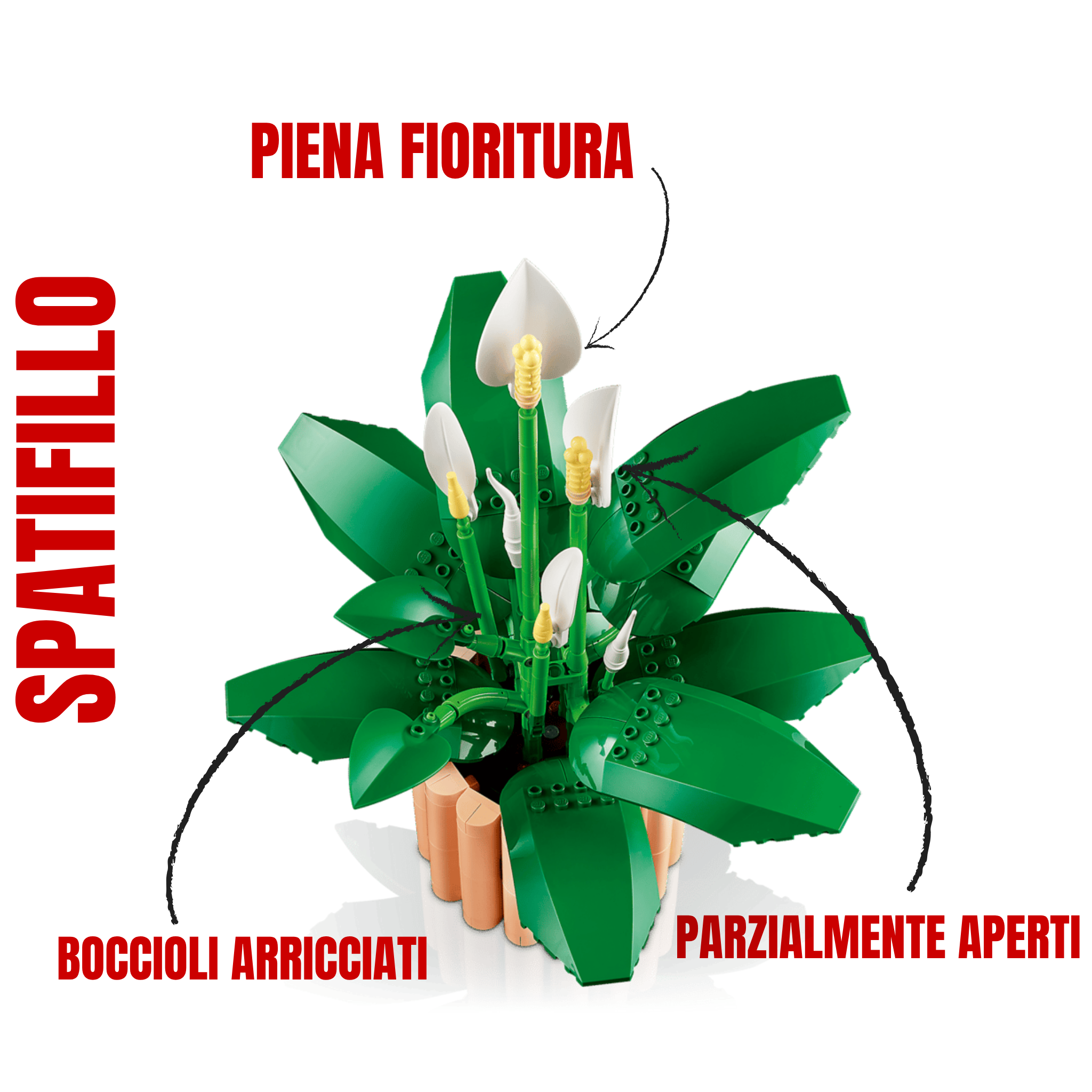 LEGO botanicals spartifillo 11504 arredamento interno stile naturale