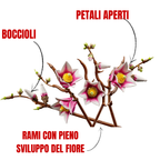 2. LEGO magnolia 11510 composizione floreale raffinata per ambienti minimal